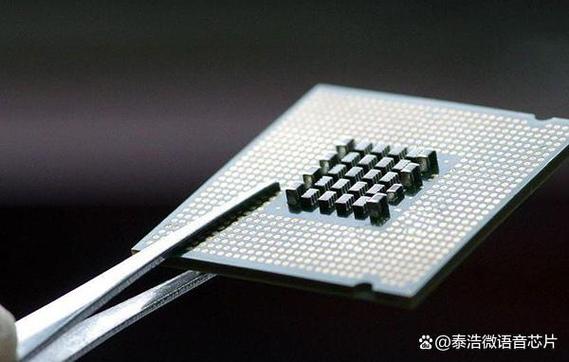 治疗性医疗仪器的专业信息科技保障 病人安全的基石